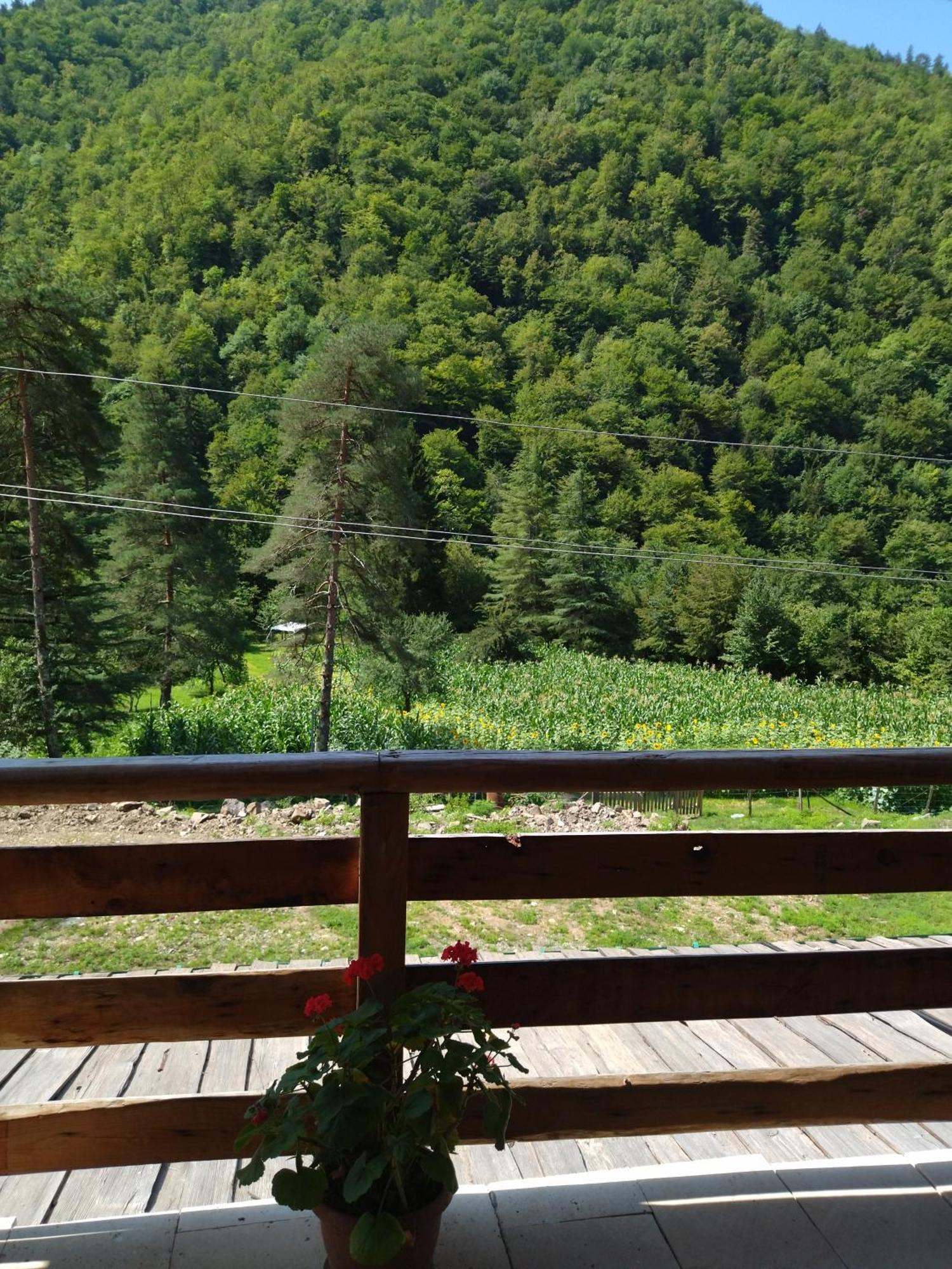 Hotel Alismereti Zekari Buitenkant foto